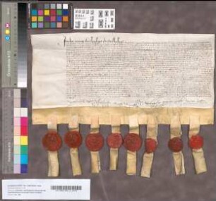 Huwelijksvoorwaarden van Klaas van Assendelft en Wilhelmine van Haeften, 9 Juni 1560. Perkament met 8 uithangende zegels of stukken daarvan.