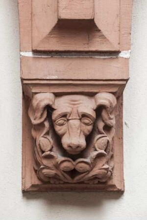 Hundekopf
