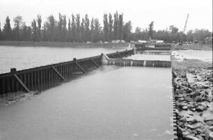 Marckolsheim: Rheinschwellen