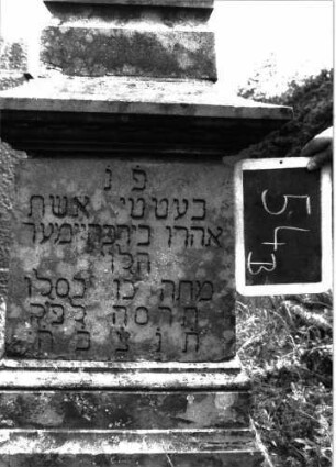 Grabstein 54 (Index: 100100840) Material: Sandstein Zustand: gut Maße HxBxT: 180x52x50 cm Beschreibung: Obelisk, getreppter Sockel Symbolik: Palmenzweiggebinde auf Obelisk: Grabstein 54B (Nachholaufnahme)