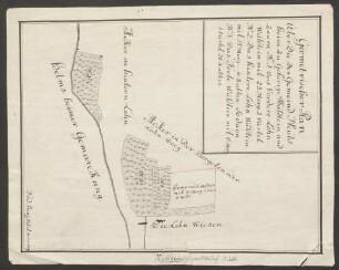 Geometrischer Plan über die der Gemeind Neubsheim zugehörige Wäldlein und zwarn No 1 das vordere Lohn Wäldlein ... No 2 das hintere Lohn Wäldlein... No 3 das Forle Wäldlein