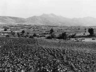 Landschaft in Mazedonien, aus der Serie 'Die Welt des Tabaks'