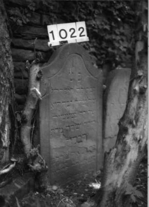 Grabstein 1022 (Index: 99630525) Material: Sandstein Zustand: abgeblätt/Textverl/untere Zeile abgebroc Maße HxBxT: 79x51x6 cm Beschreibung: Stele mit Konvexbogenabschluß, Schriftfeld eingetieft: Grabstein 1022