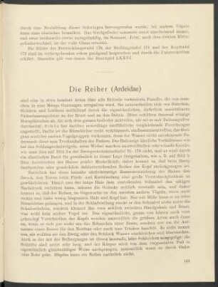Die Reiher (Ardeidae)