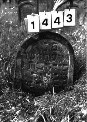 Grabstein 1443 (Index: 100098123) Maße HxBxT: 56x45x6 cm: Grabstein 1443