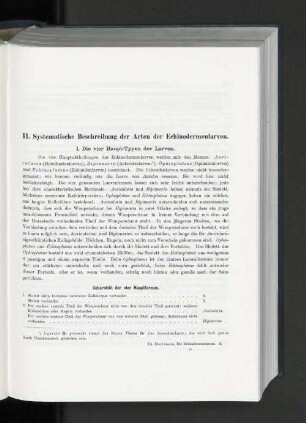 1. Die vier Haupt-Typen der Larven.