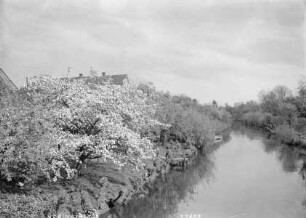Partie an der Lühe