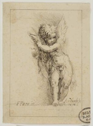 Putto (nach Parmigianino)