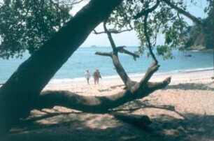 Costa Rica. Kleine Bucht am Pazifik