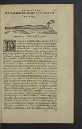 De basilisco rege serpentum. Cap. XVIII.