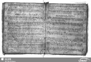 Grimm, Heinrich: Singet dem Herrn ein neues Lied lobsinget seinem Namen