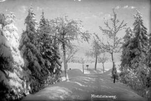 Hirtsteinauffahrt und Satzunger Straße