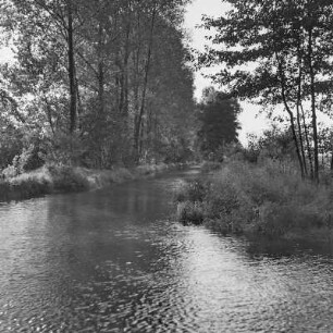 Landschaftsbild. Fließgewässer im Spreewald. : Wobraz krajiny. Groble w Błótach.