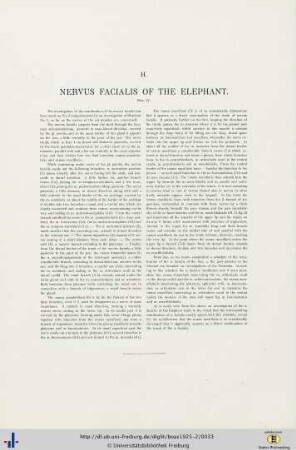 Nervus Facialis.