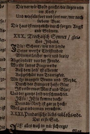 XXXI. Pindarische liebs- und Lobs-ode