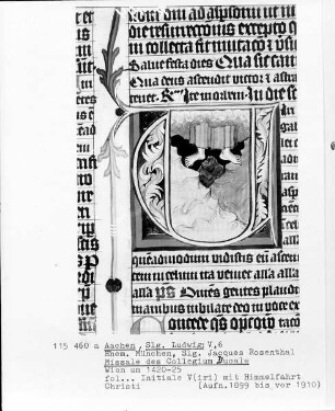 Plenarmissale aus dem Collegium Ducale — Initiale V (iri galilei), Folio 125verso