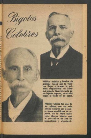 Bigotes célebres