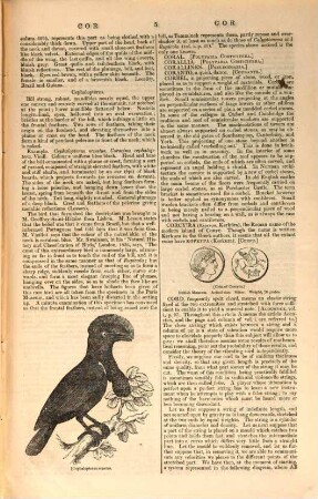The Penny Cyclopaedia of the Society for the Diffusion of Useful Knowledge, 8. Copyright - Dionysius