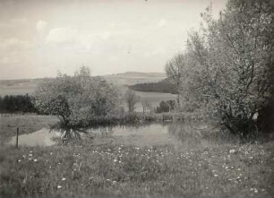 Vogtland, Kemnitzbachtal südwestlich von Plauen. Blick über einen Weiher? nach Schwand (Weischlitz-Schwand)