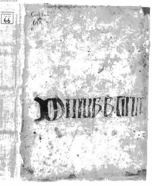 Dini (del Garbo) de Florentia chirurgia - BSB Clm 66
