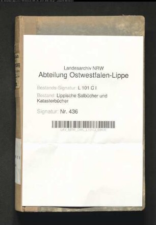 Konzept des Salbuchs des Amtes Sternberg von 1858, Bd. 4