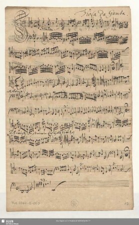 Viola da Gamba.