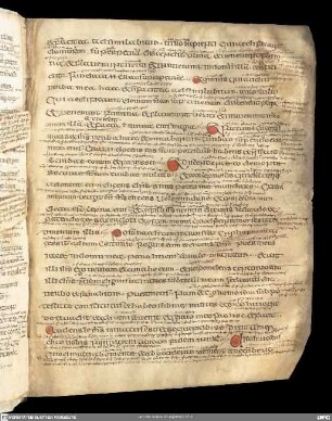 Evangelium secundum Matthaeum cum glossis - Sacramentarium Gelasianum rescriptum (Fragment)
