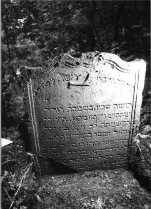 Grabstein 549