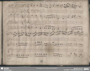 Bene adorato addio. Excerpts - Mus.2477-J-6,2 : S, strings, bc; MenH 4.77