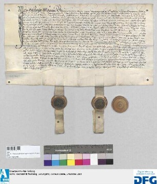 Balthasar Widman tritt auf drei Jahre als Syndikus in die Dienste der Stadt Nürnberg. - Siegler: Cristoff Lanng, Hannß Heronimus.