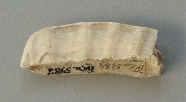 Hatchet blade (fragment)