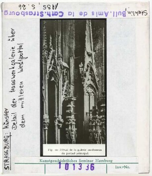 Straßburg: Münster, Westportal, Maßwerkgiebel, Detail