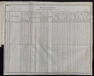 Formular 3. Konduitenliste der [...] Leibgarde pro Anno 1795