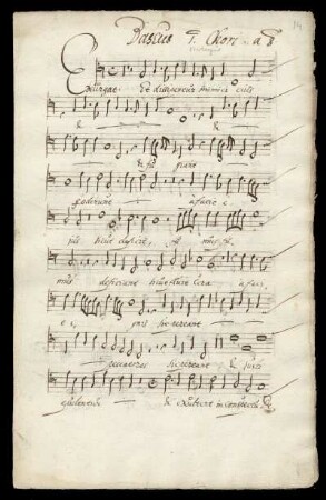 Bassus 1. Chori