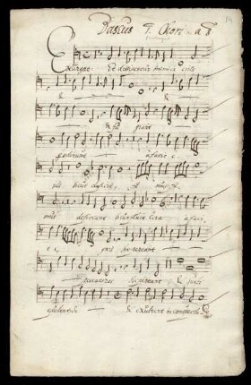Bassus 1. Chori