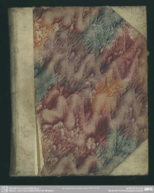 De Iure Principis Christiani Aggratiandi Circa homicidium Negato : Dissertatio Theologica