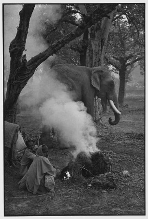 Sonepur. Zwei indische Männer an einer Feuerstelle mit einem Elefant