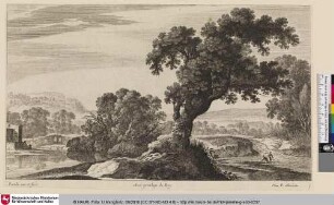 [Flusslandschaft mit Blick auf einem Baum am Ufer des Flusses]