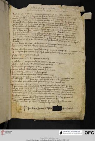 Bernardus de Riparia, Summula de praeceptis et sacramentis