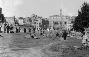 Das Forum Romanum : Blick über die Überreste des Forum Romanums