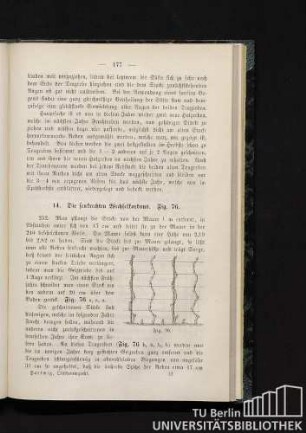 14. Die senkrechten Wechselkordons.