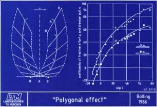 Polygonal effect