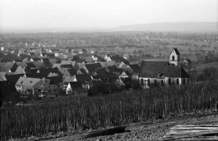 Haltingen: Blick vom Weinberg auf den Ort
