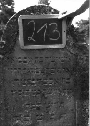 Grabstein 213 (Index: 100103306) Material: Sandstein Zustand: verwittert Maße HxBxT: 103x57x9 cm Beschreibung: Stele, eingezogener Rundbogenabschluss, Schriftfeld eingetieft mit Konvexbogenabschluss, Levitenkanne im Bogenfeld Symbolik: Levitenkanne: Grabstein 213 (Detailaufnahme)