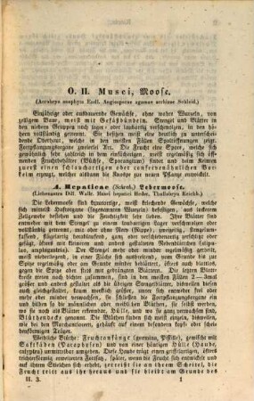 Deutschlands Kryptogamen-Flora oder Handbuch zur Bestimmung der kryptogamischen Gewächse Deutschlands, der Schweiz, des Lombardisch-Venetianischen Königreichs und Istriens, 2,3. Leber-, Laubmoose und Farrn