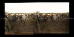 Zerstörte Brücke bei Lodz - Pabianice