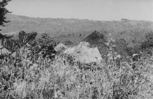 Banco, eine Siedlung der Gedeo (Äthiopienreise 1937/1938 - 3. Fahrt: von Addis Abeba nach Mogadischu und zurück)