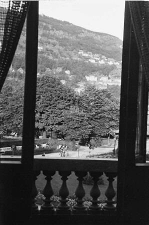 Stadtpark Bergen : Blick aus einem Fenster vermutlich über den Stadtpark in Bergen.