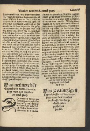 Das zwaintzigest Capitel/ diß dritten tractats/ sagt vonn den wunden der brust/ ...