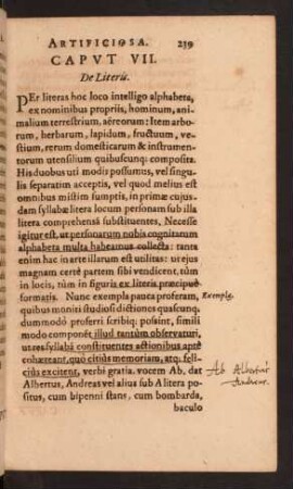 Caput VII. De Literis.